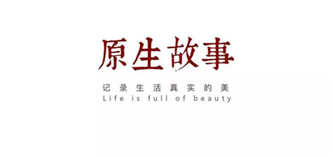 新澳门免费原料网大全